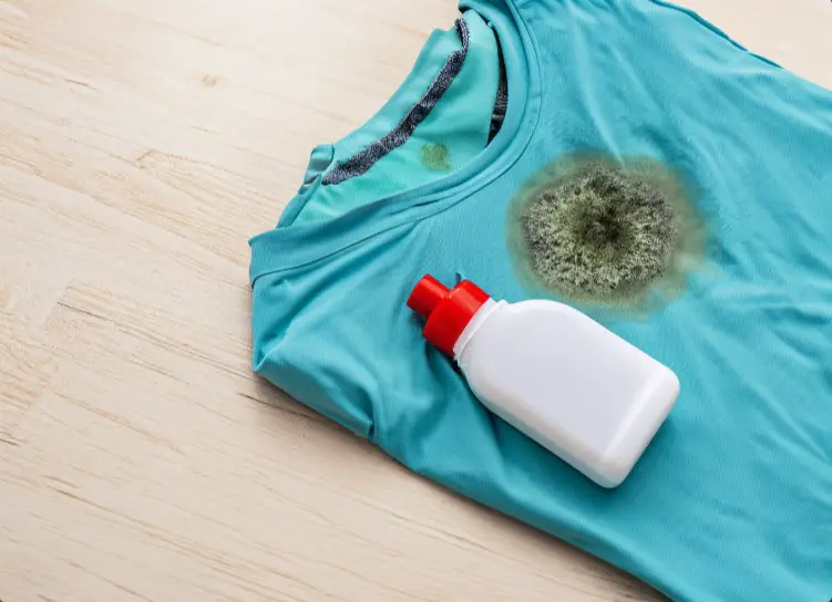 remove mold stains from clothes
