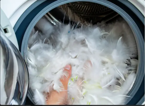 wash feathers in the washing machine